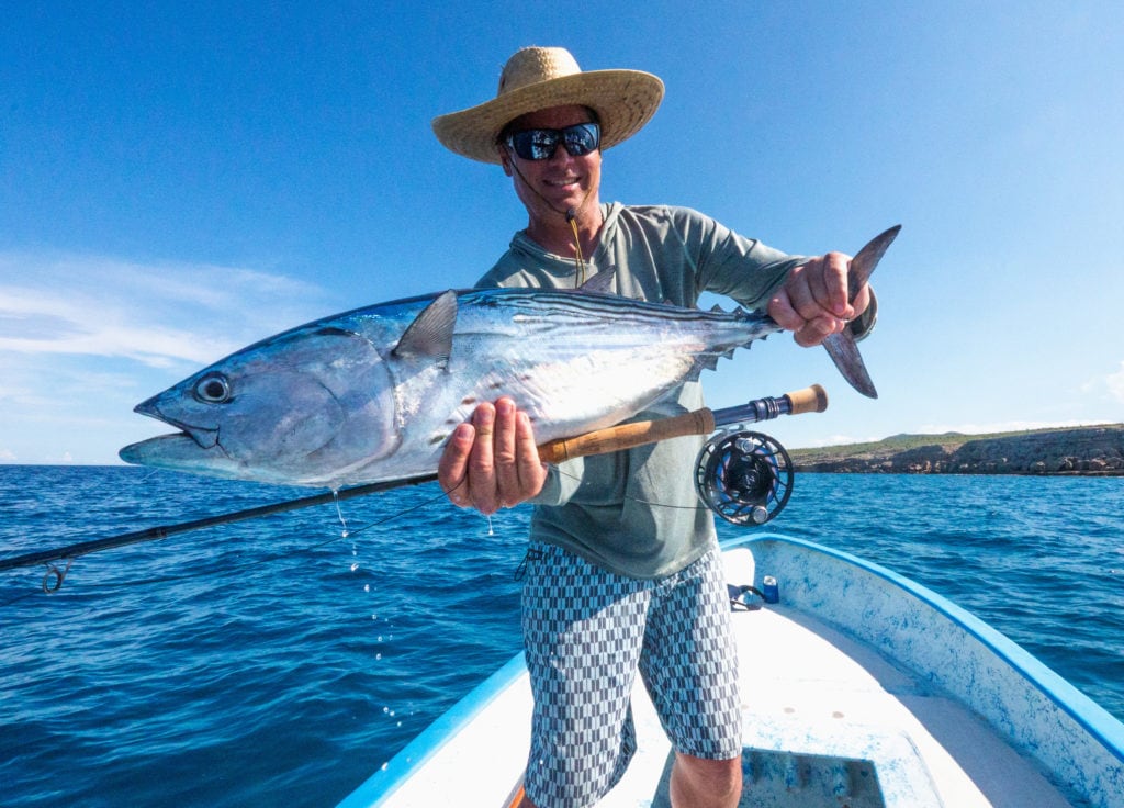 Black skipjack