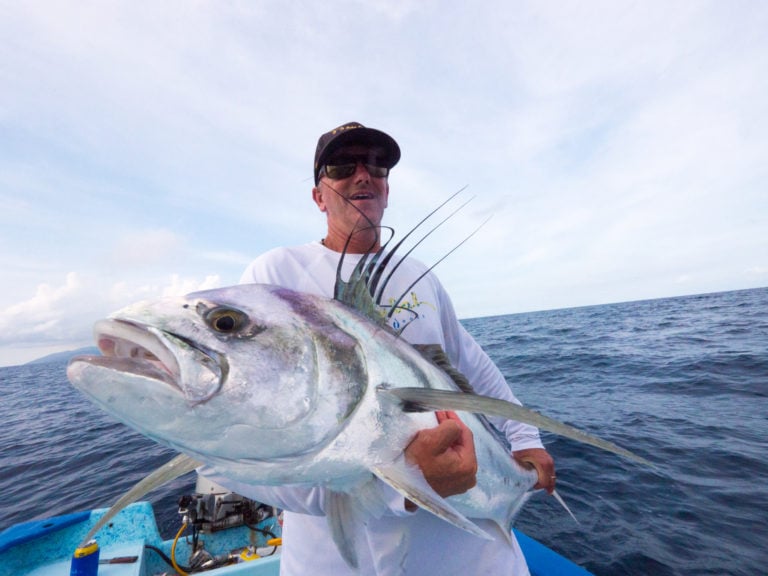 roosterfish Baja