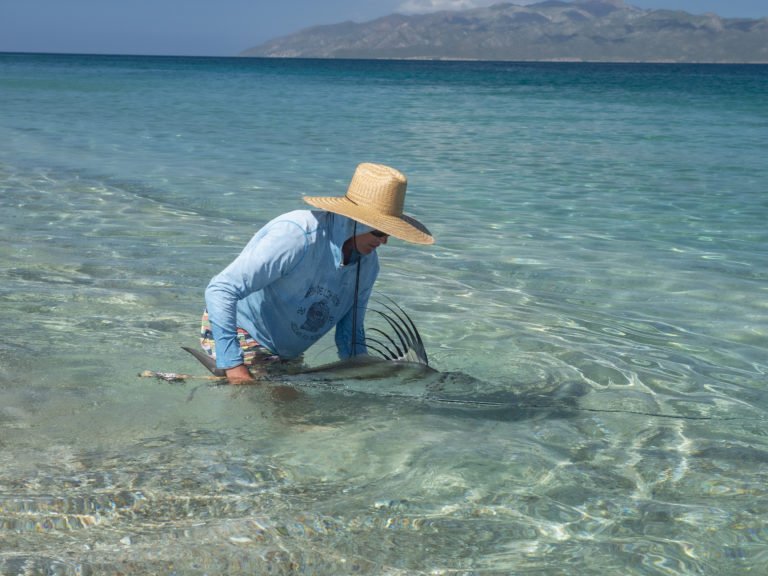 roosterfish surf flyfishing