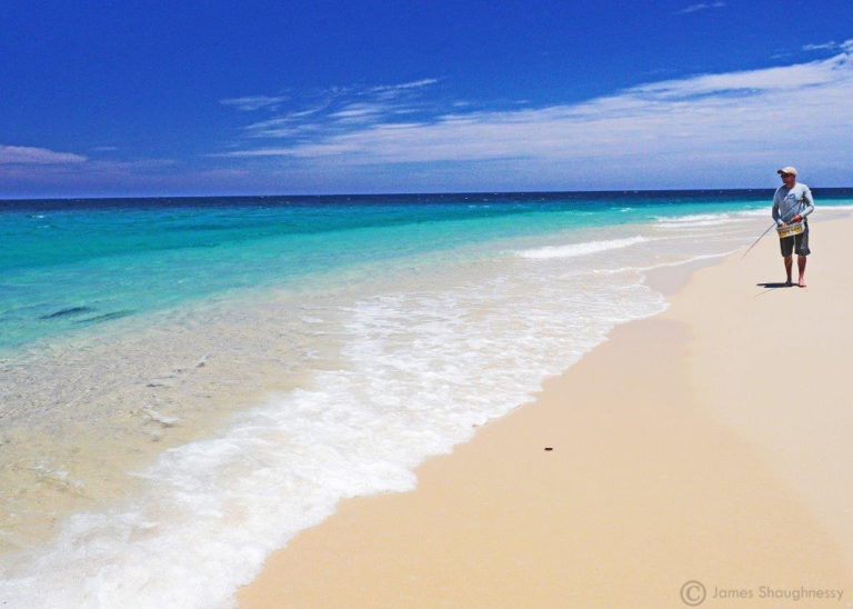 roosterfish beach fishing
