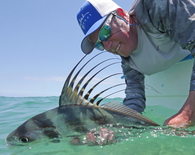 roosterfish release