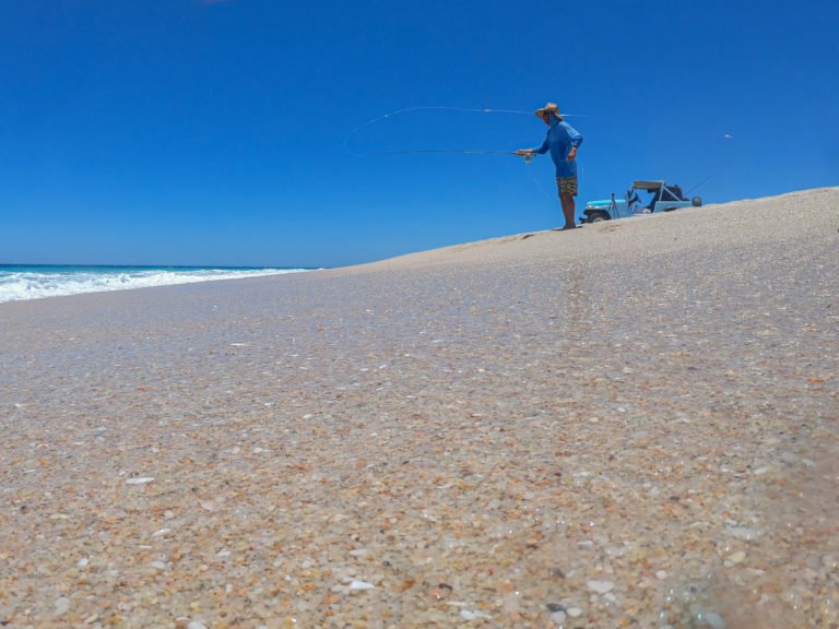 fly fishing baja beaches