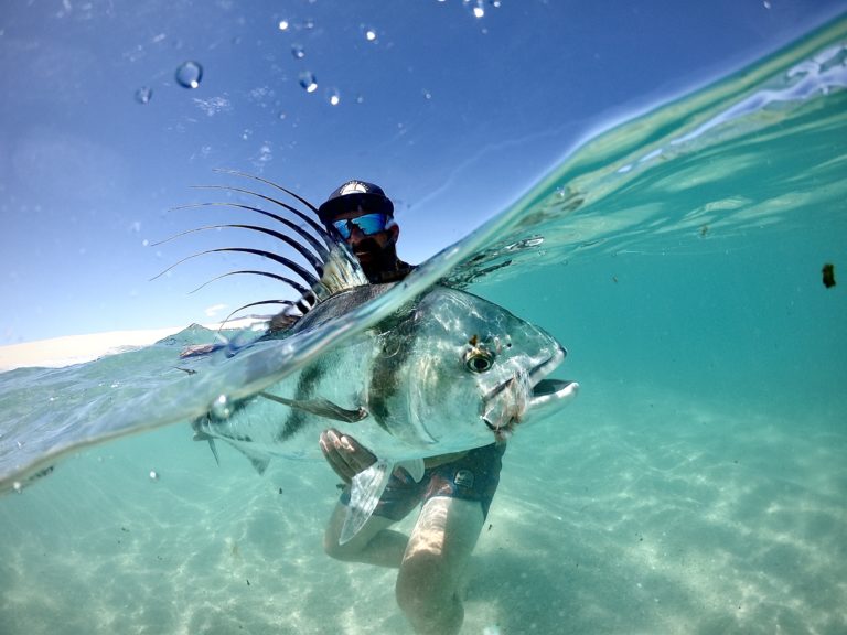 underwater water roosterfish release