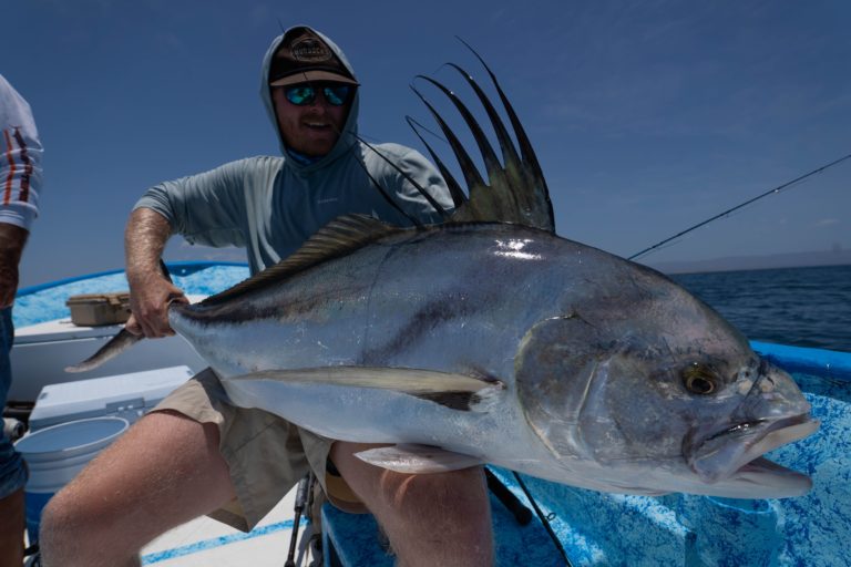 panga rooster fish
