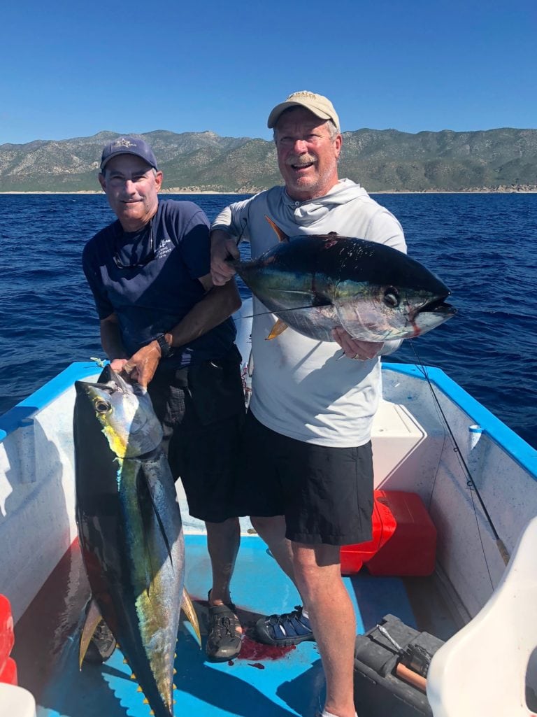 Yellowfin tuna double in Baja