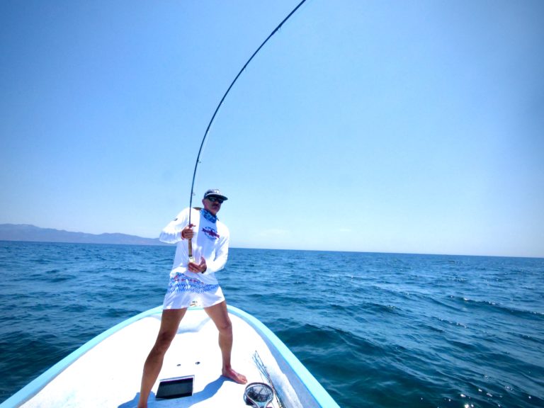 fly rod bent on roosterfish