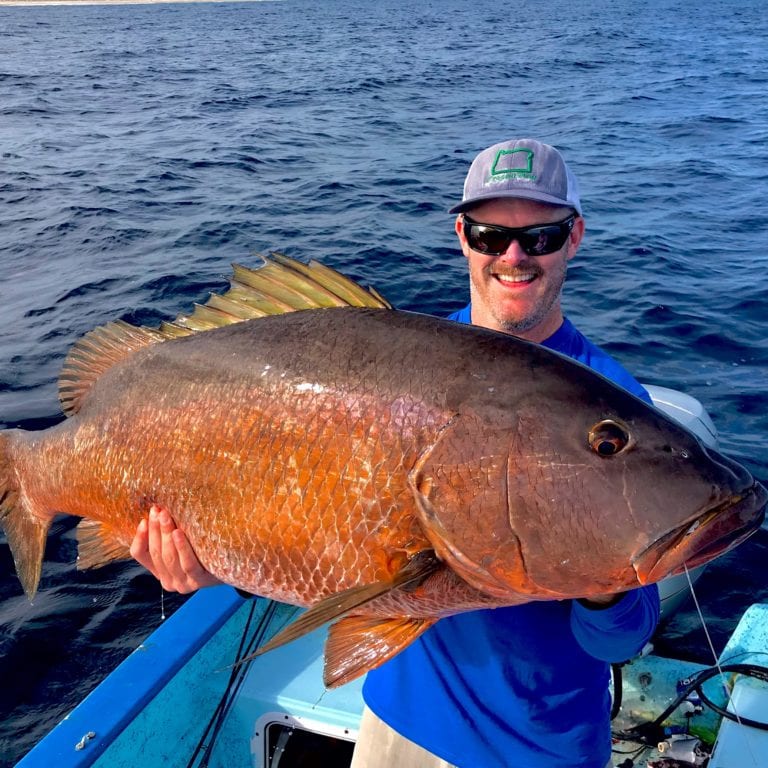 Cubera Snapper