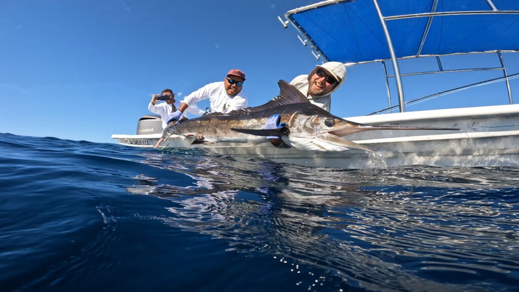 mag bay marlin
