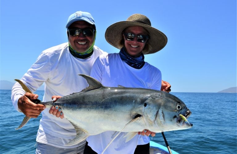 Jack crevalle
