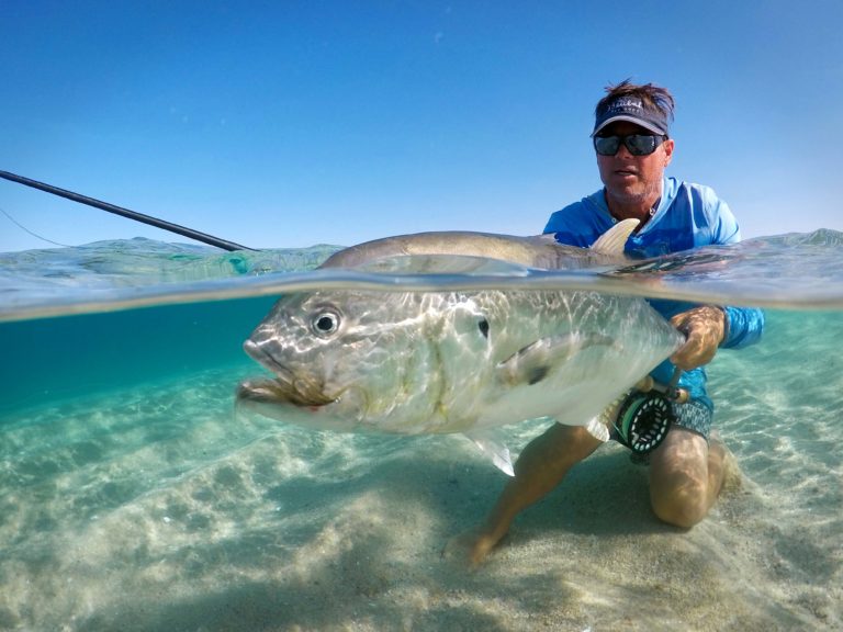 Jack Crevalle underwater