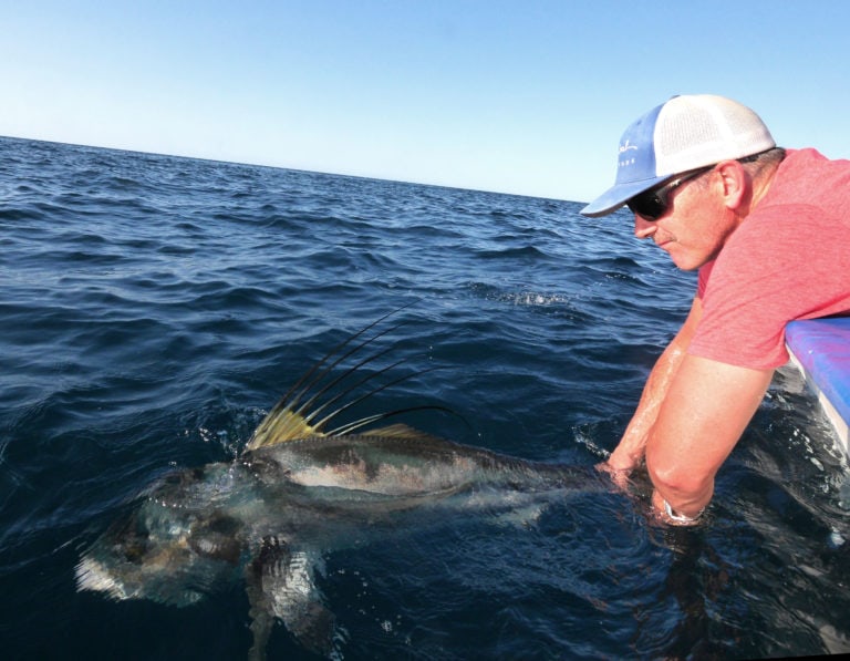 grande rooster release