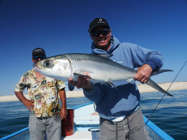 milkfish on fly