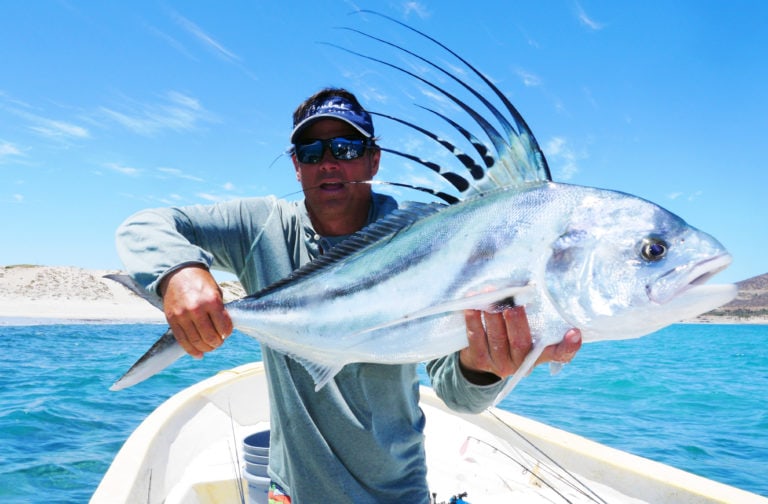 roosterfish on fly