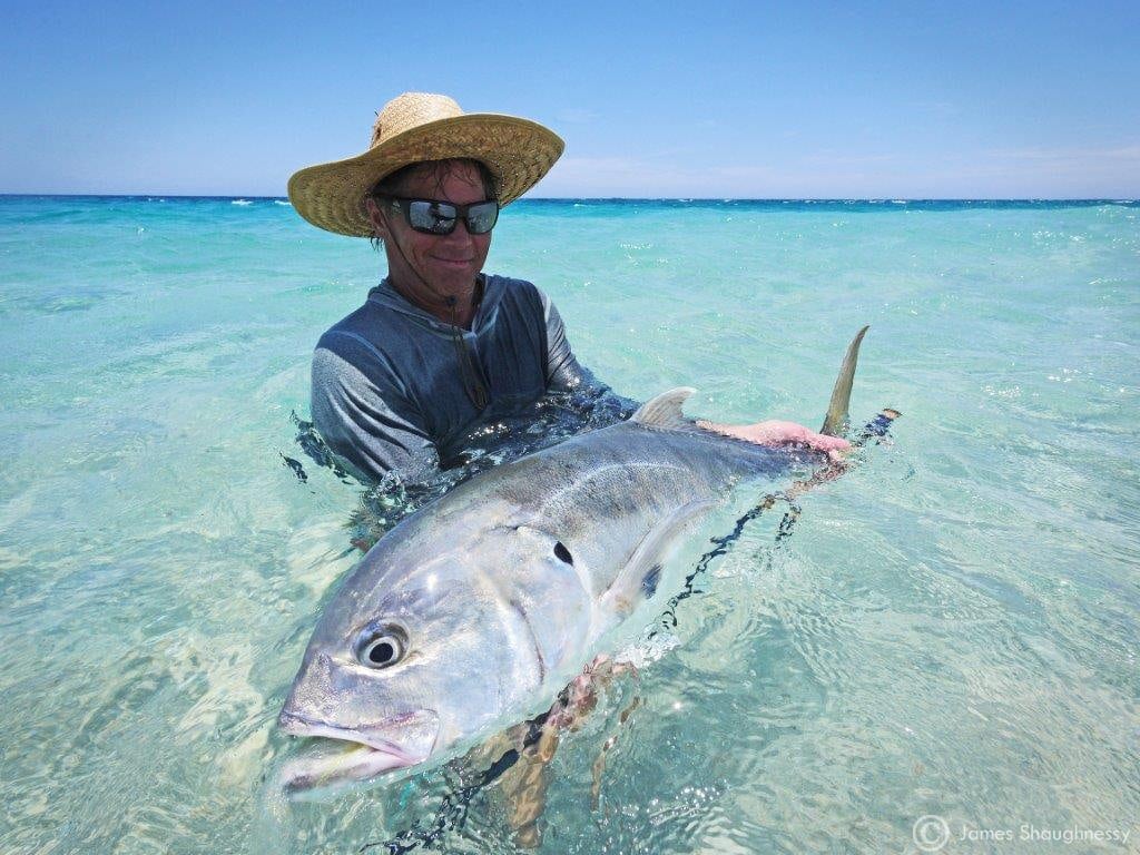 jack crevalle release