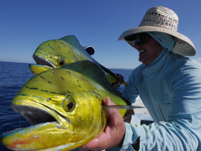 dorado doubles on fly