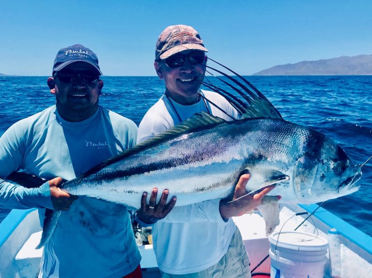roosterfish