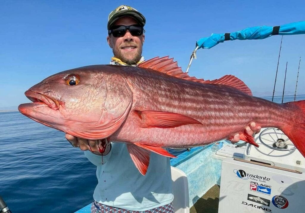 Offshore Angler Captain's Choice 4/0 Class  Offshore Angler Captain's  Choice 4/0 Class Review